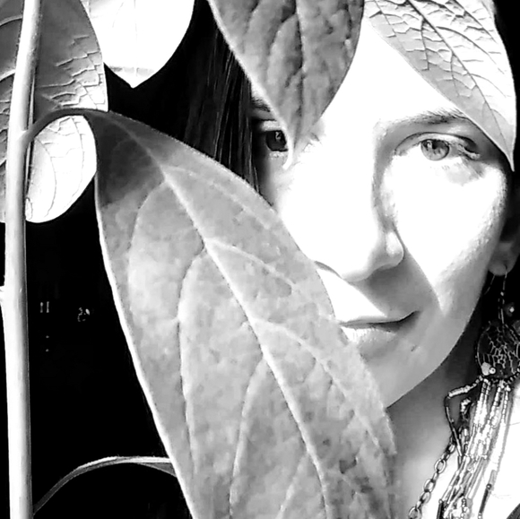 Meet your Posher, Bear - Picture 1 of 1